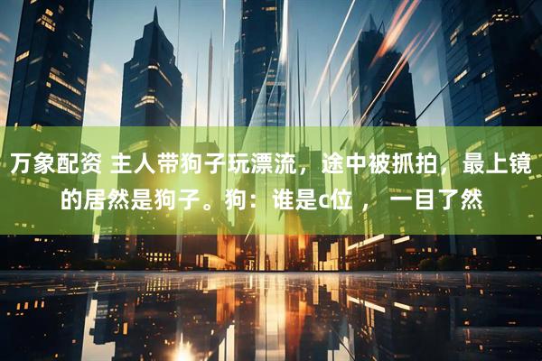 万象配资 主人带狗子玩漂流，途中被抓拍，最上镜的居然是狗子。狗：谁是c位 ， 一目了然